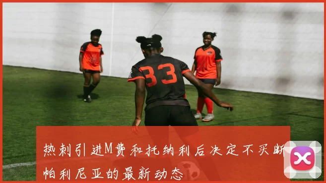 热刺引进M费和托纳利后决定不买断帕利尼亚的最新动态
